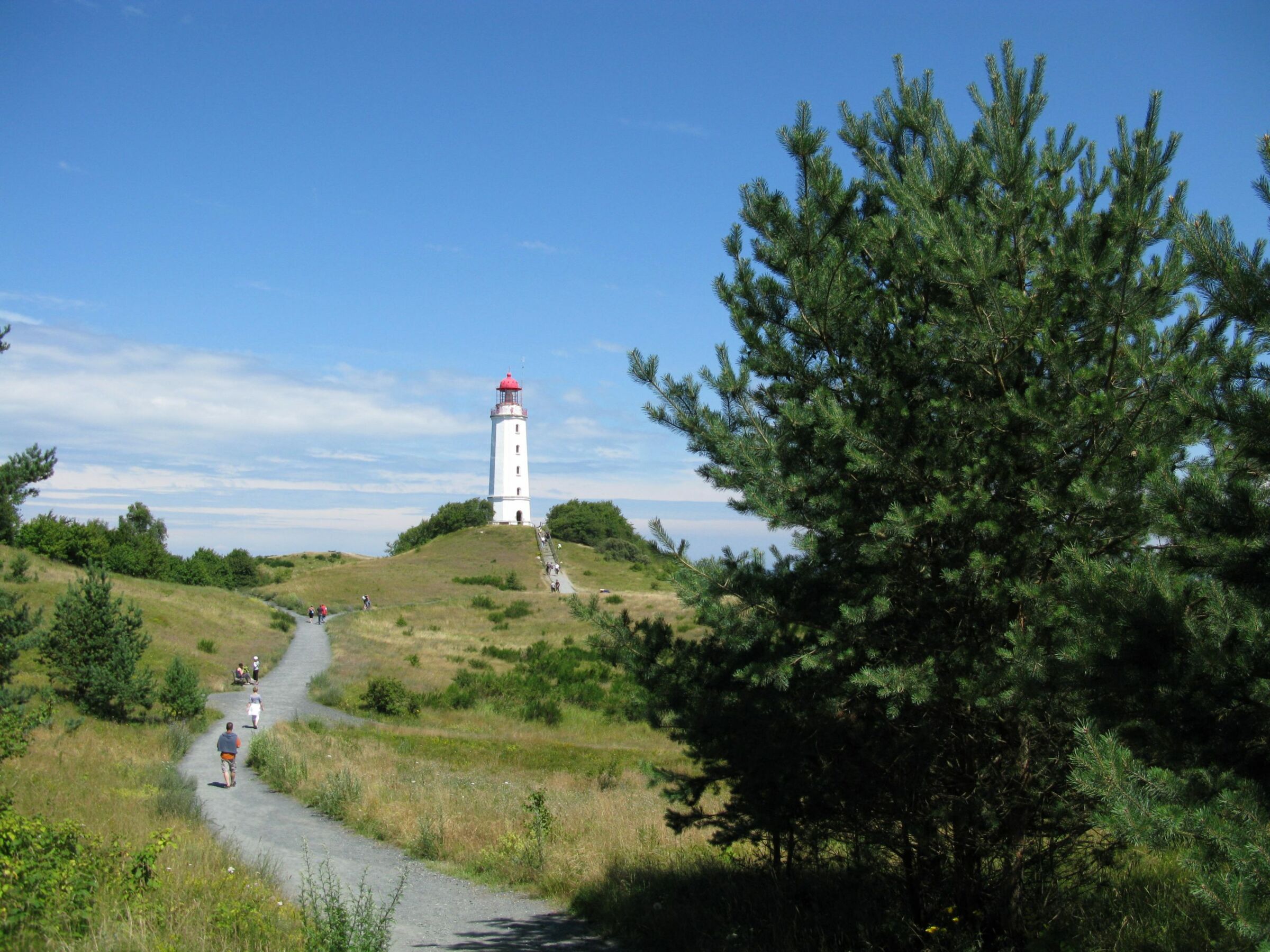 Der Leuchtturm Dornbusch errichtet 1888 steht auf dem rund 70 Meter hohen Schluckwieksberg, dem Hochland im Norden der Insel Hiddensee.